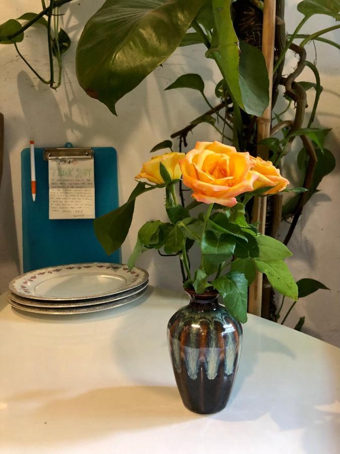 Simple & Cozy Hanoi Homestay Экстерьер фото